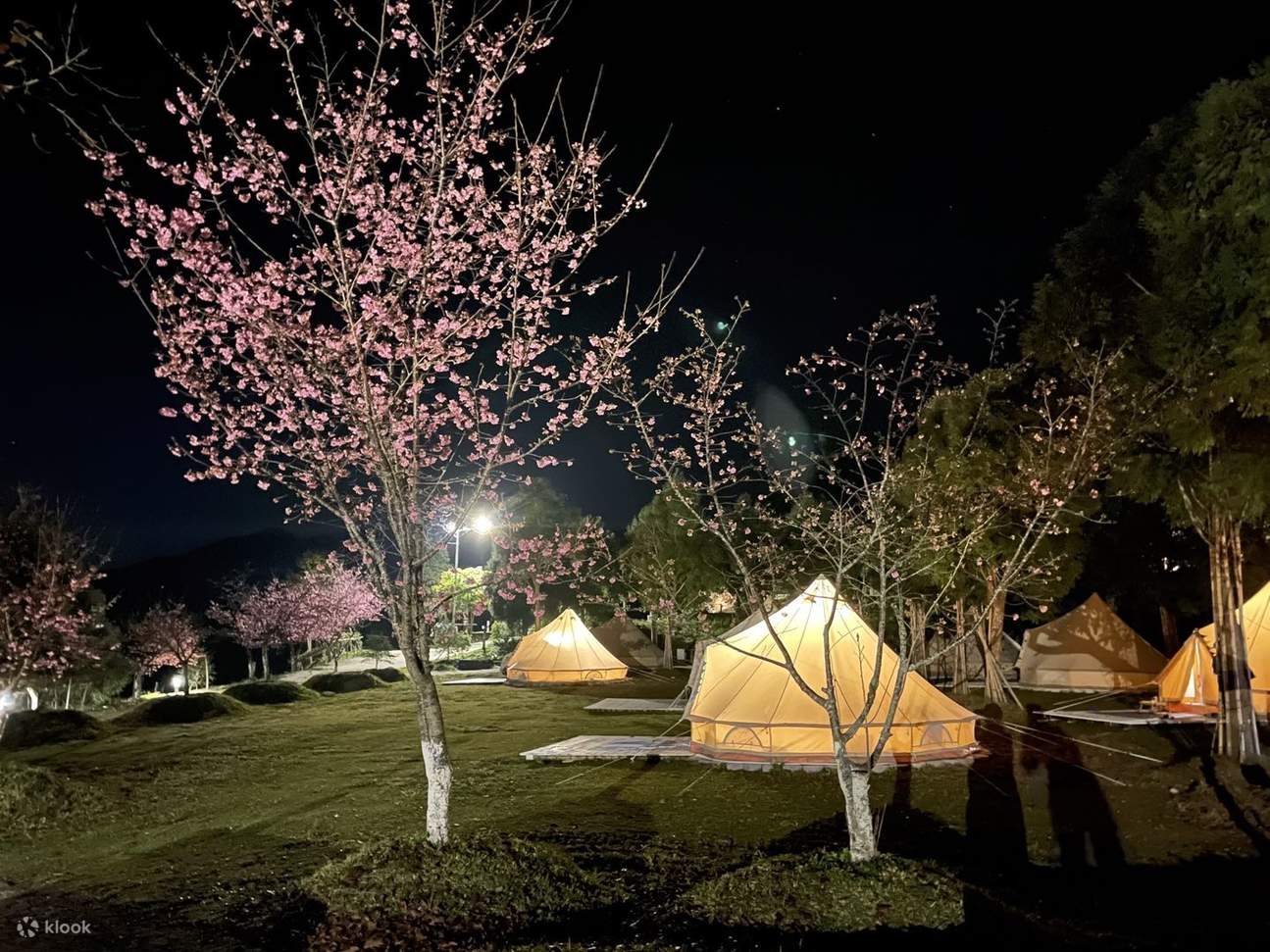 Влюбиться в Шионг